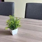 Ferienwohnung Buere Blick Mit Wellnessbereich Direkt Im Skigebiet Winterberg, Ski, Bike, Golf