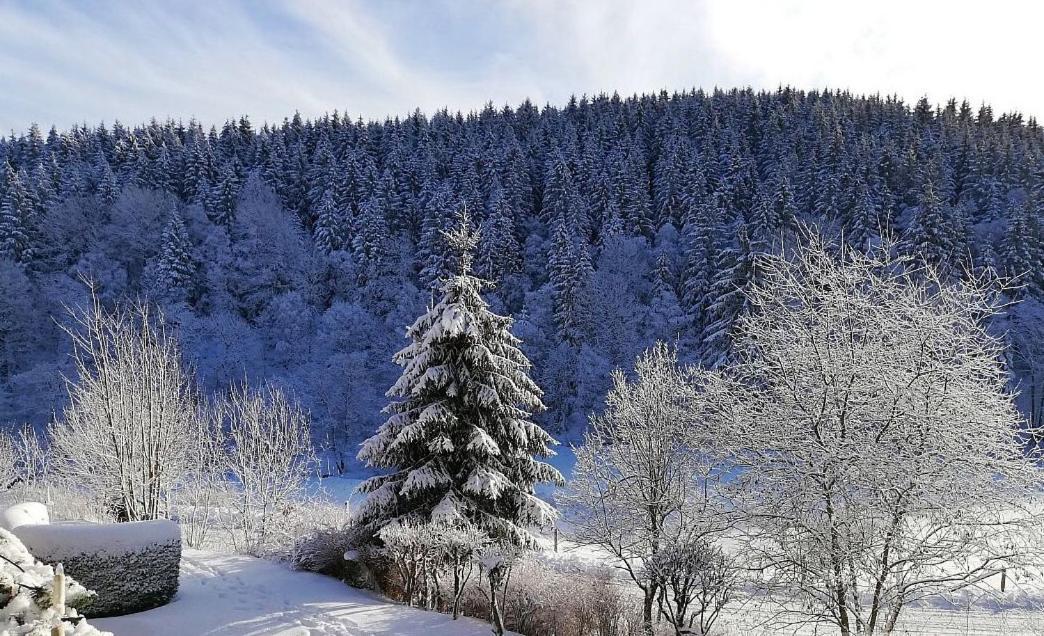 Apartment Buere Blick Mit Wellnessbereich Direkt Im Skigebiet Winterberg, Ski, Bike, Golf Winterberg