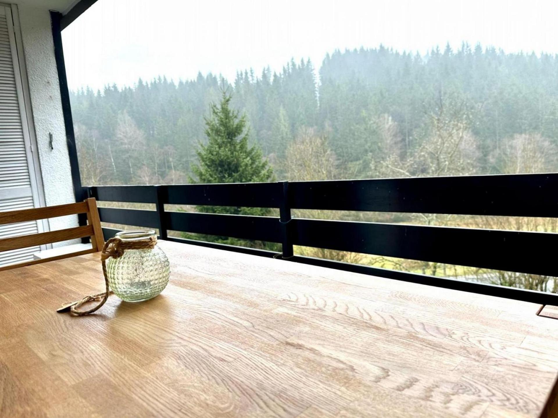 Apartment Buere Blick Mit Wellnessbereich Direkt Im Skigebiet Winterberg, Ski, Bike, Golf *