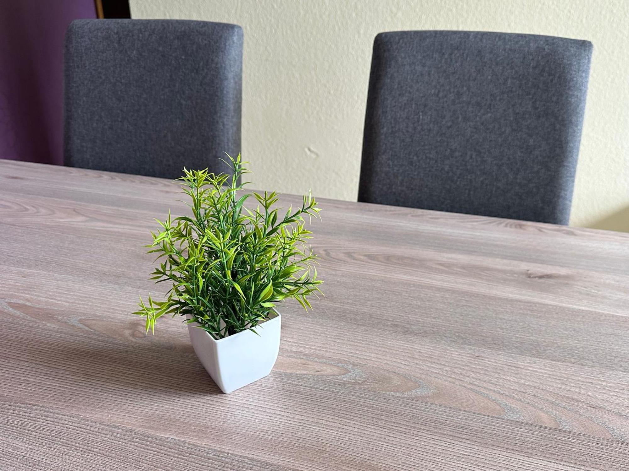 Buere Blick Mit Wellnessbereich Direkt Im Skigebiet Winterberg, Ski, Bike, Golf *