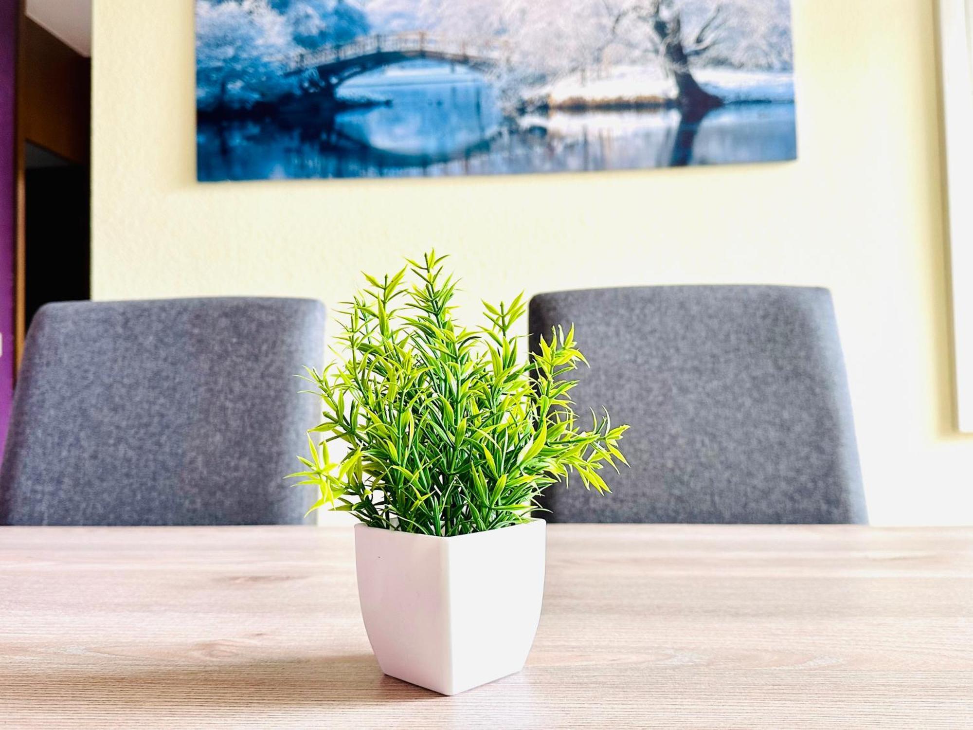 Buere Blick Mit Wellnessbereich Direkt Im Skigebiet Winterberg, Ski, Bike, Golf * Winterberg
